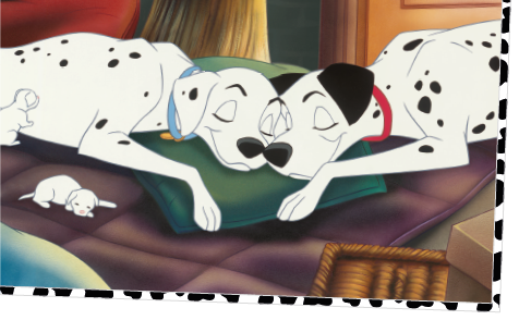 Dalmations sleeping together